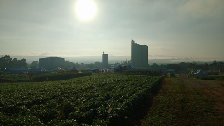 Dia de Campo Bom Jesus | Guerreiro Agromarketing